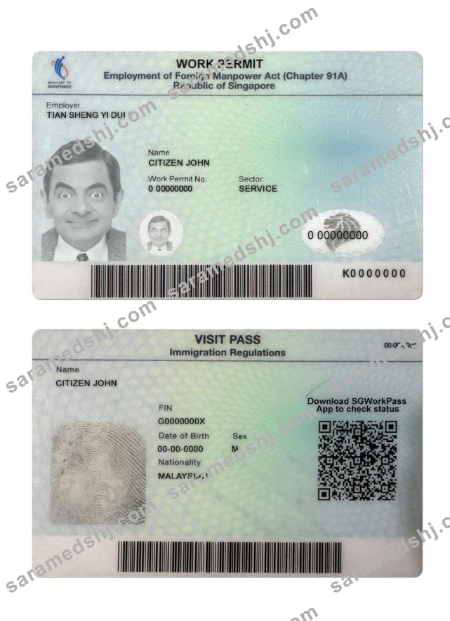 Singapore work permit
